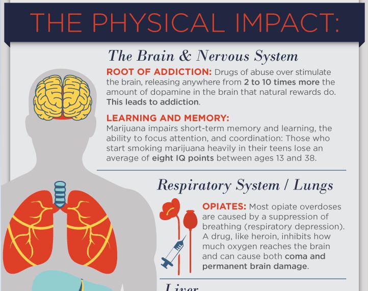 The Physical Effects of Substance Abuse | Infographic | Turnbridge