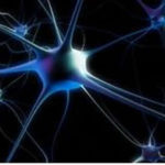 The 12-Step recovery program