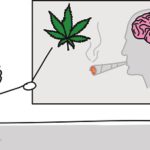 marijuana induced psychosis